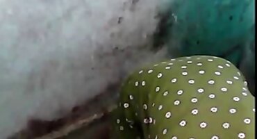 phim sex nữ đồng tính nhật bản Một phụ nữ trẻ fucks trong ass sex mỹ đen với một ông già.